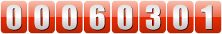 web page counter