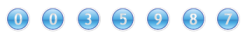 web counters