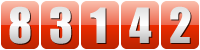website hit counter