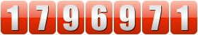 Website Visitor Counter