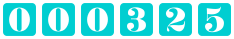 website counter code