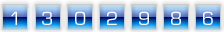 web page counter