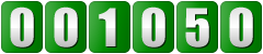 web counter