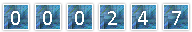 web counter