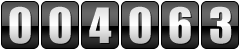 website counter
