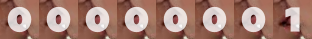 website counter