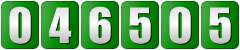website counter code