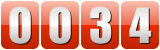 website hits counter