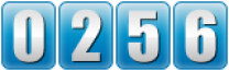 website hits counter