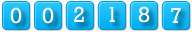page counter