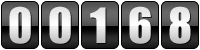 website counter code