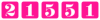 website hit counter