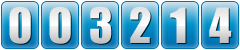 website hit counter