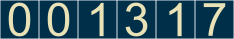 website counter