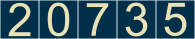 website counter