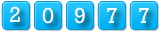 website hit counter