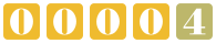 website hit counter