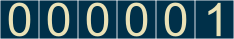 website hit counter
