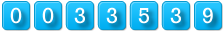 web counter