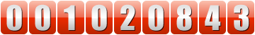 web counter