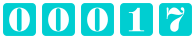 website hit counter