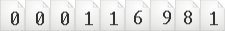 website hits counter