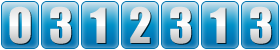 page counter